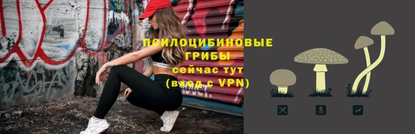 не бодяженный Апатиты