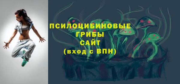 ПСИЛОЦИБИНОВЫЕ ГРИБЫ Наволоки