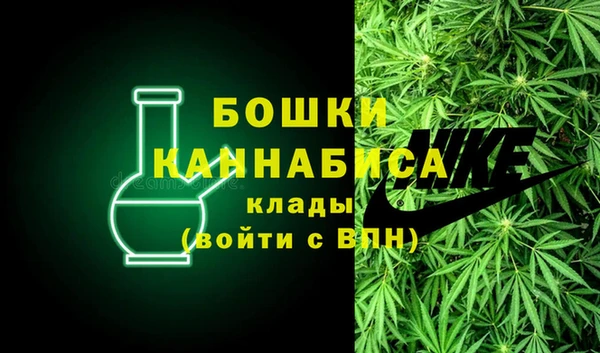 ПСИЛОЦИБИНОВЫЕ ГРИБЫ Наволоки