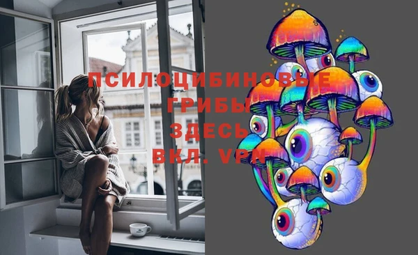 прущая мука Надым