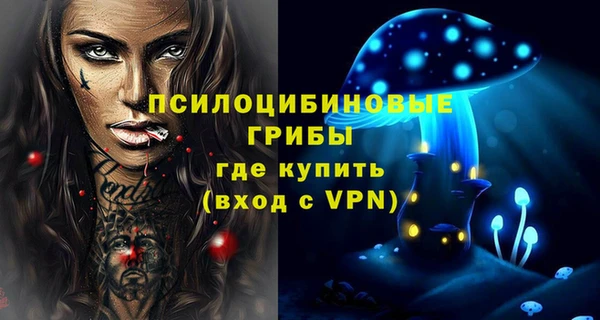 ПСИЛОЦИБИНОВЫЕ ГРИБЫ Наволоки