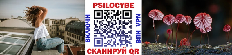 blacksprut как зайти  Советский  Псилоцибиновые грибы мухоморы 