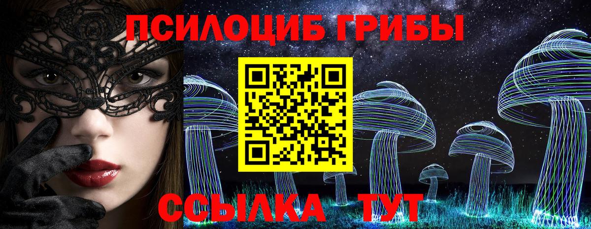 Псилоцибиновые грибы мицелий Советский
