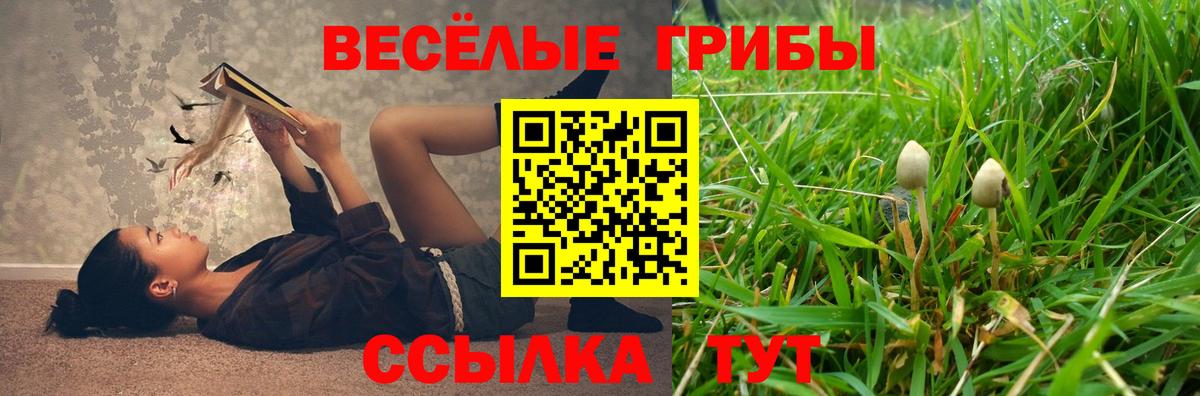 Галлюциногенные грибы MAGIC MUSHROOMS  Вход с VPN  Советский 